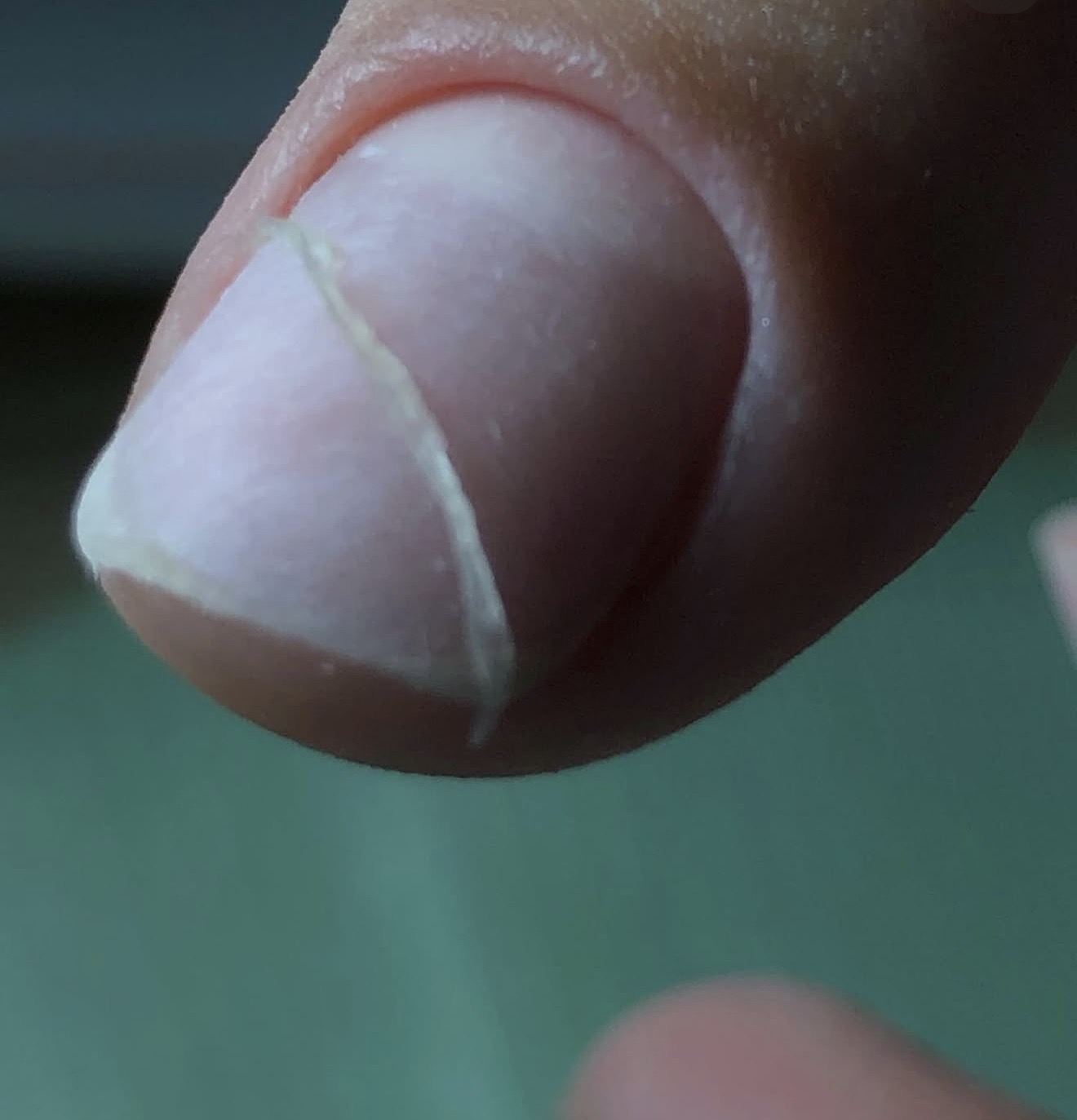 Маникюр by Mila